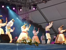 Festival de Folkore en Mula